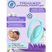 Тренажёр Кегеля Magic Kegel Rejuve